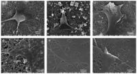 Membranes 01 00275f13 200