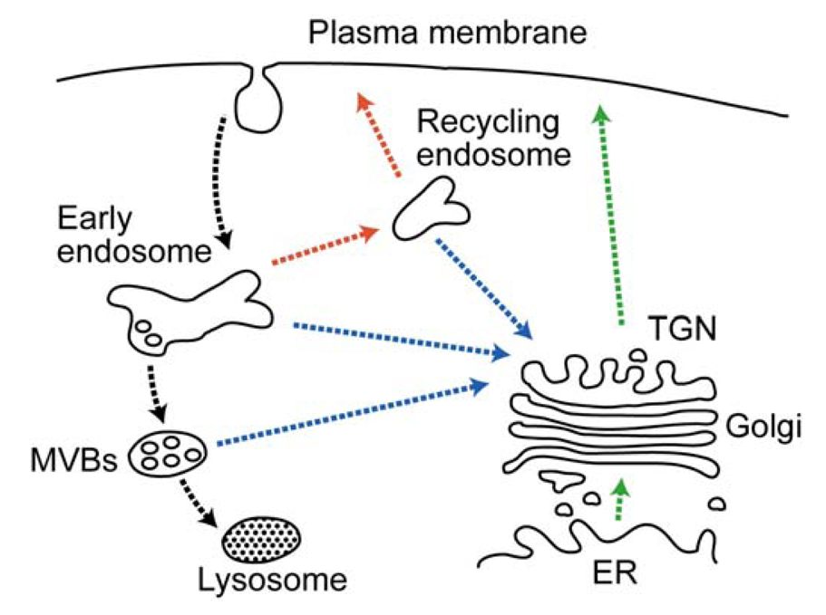 Membranes 01 00354f4 1024