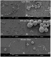 Membranes 02 00001 g002 200