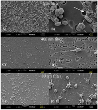 Membranes 02 00001 g003 200