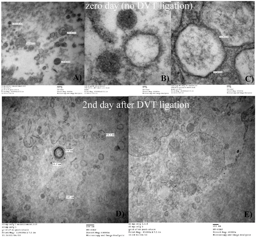 Membranes 02 00001 g006 1024