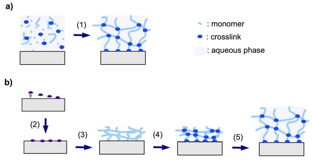 download the prokaryotes: firmicutes