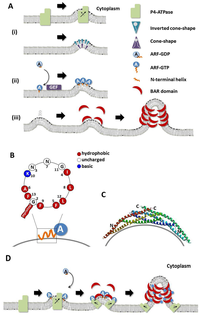 Membranes 02 00118 g001 200