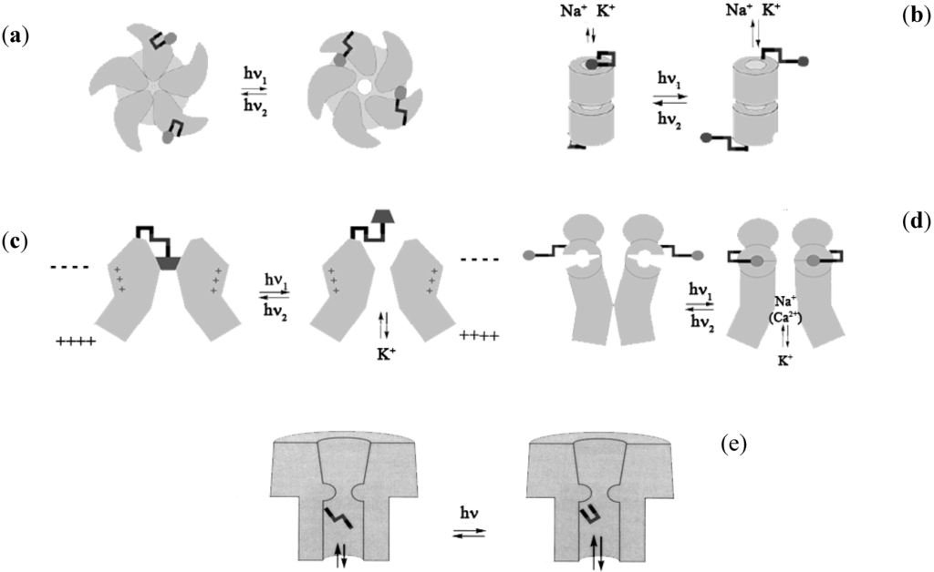 Membranes 02 00134 g011 1024