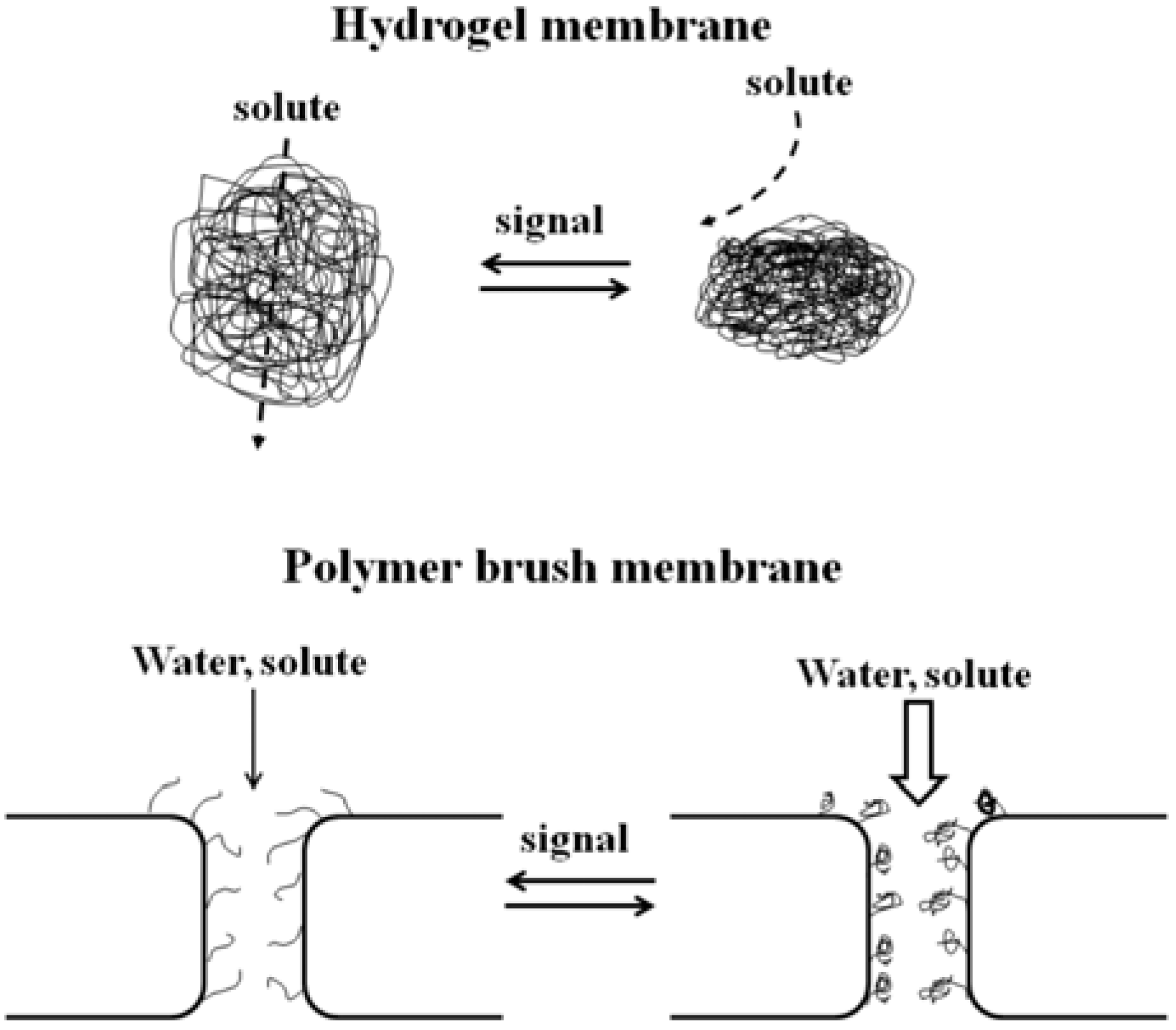 download riemannian holonomy groups and calibrated