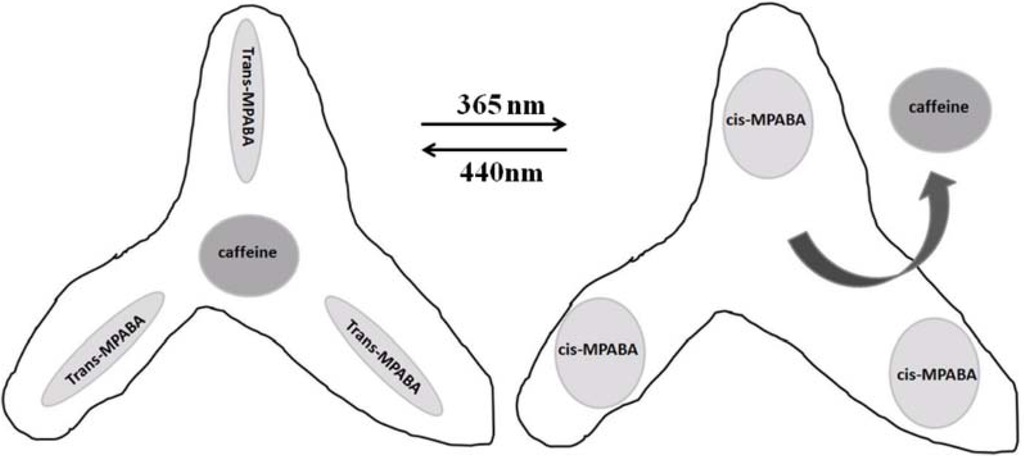 Membranes 02 00134 g020 1024