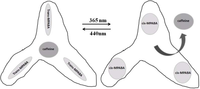 Membranes 02 00134 g020 200