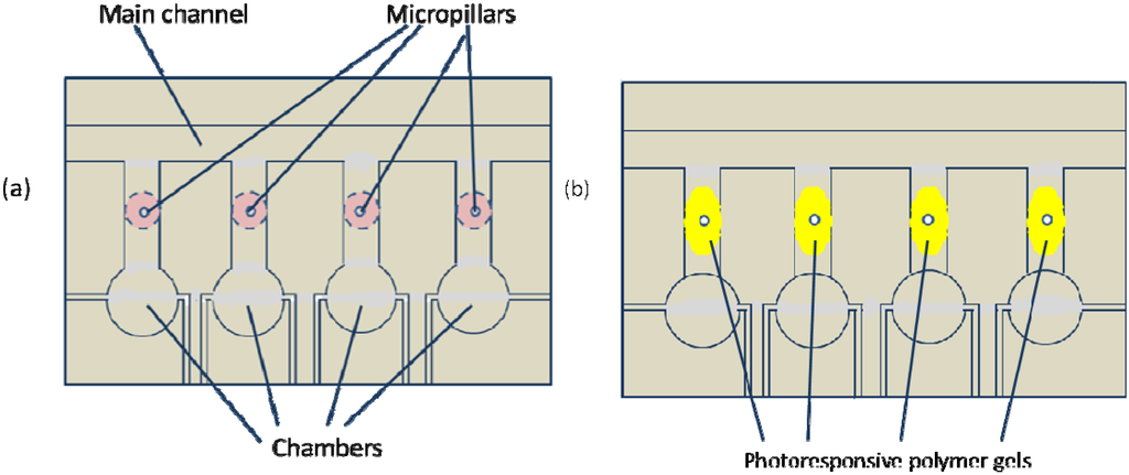 Membranes 02 00134 g027 1024