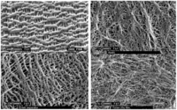 Membranes 02 00367 g008 200