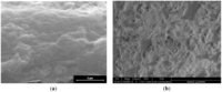 Membranes 02 00384 g001 200