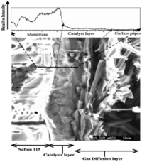 Membranes 02 00510 g005 200