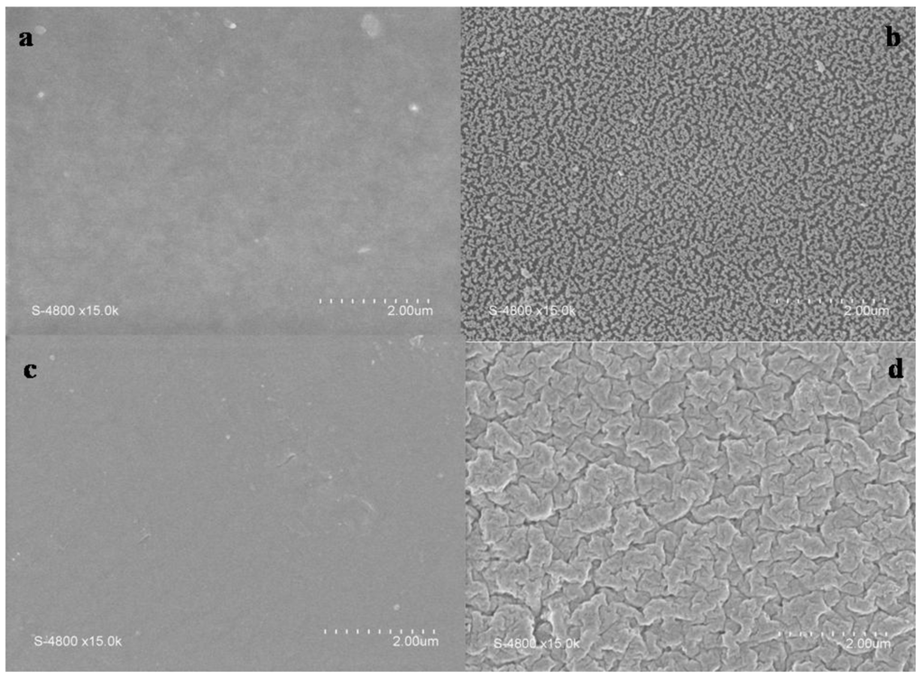 Membranes 02 00529 g001 1024