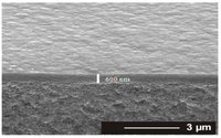 Membranes 02 00529 g002 200