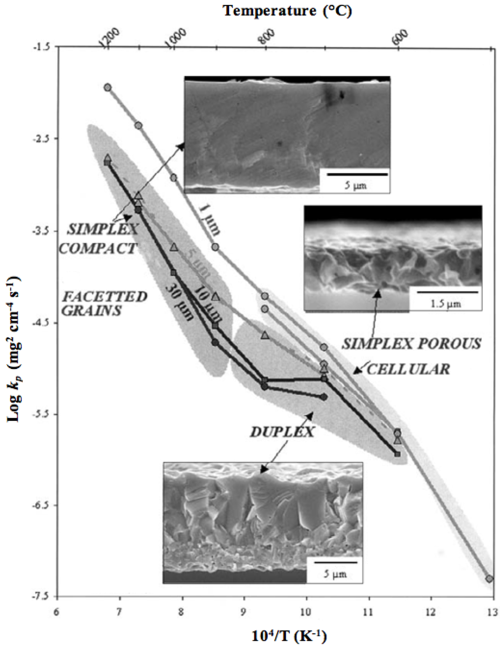 Membranes 02 00585 g002 1024