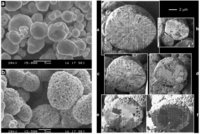Membranes 02 00585 g017 200