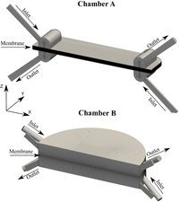 Membranes 02 00764 g001 200