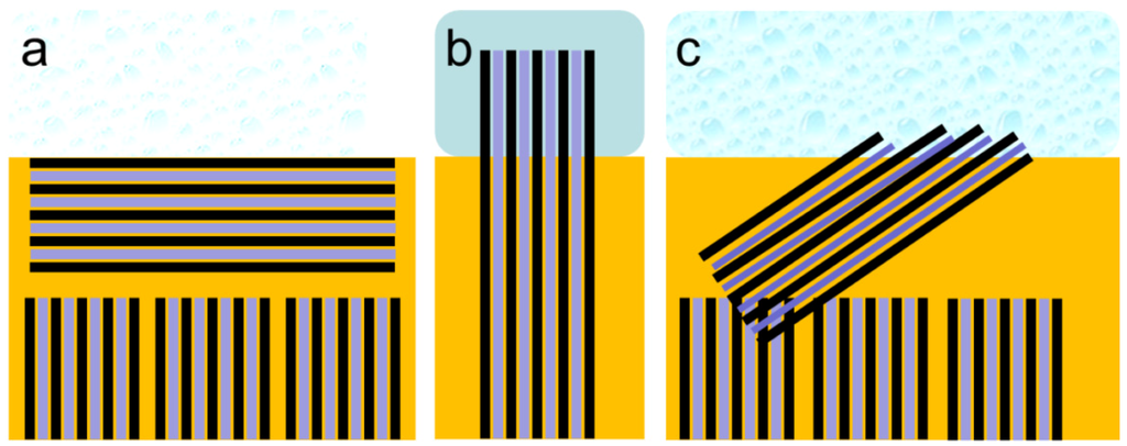 Membranes 02 00783 g001 1024