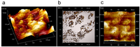 Membranes 02 00783 g006 200