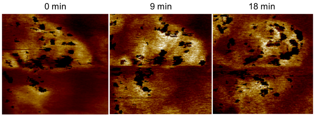Membranes 02 00783 g013 1024