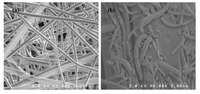 Membranes 02 00855 g009 200