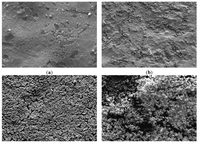 Membranes 03 00044 g004 200