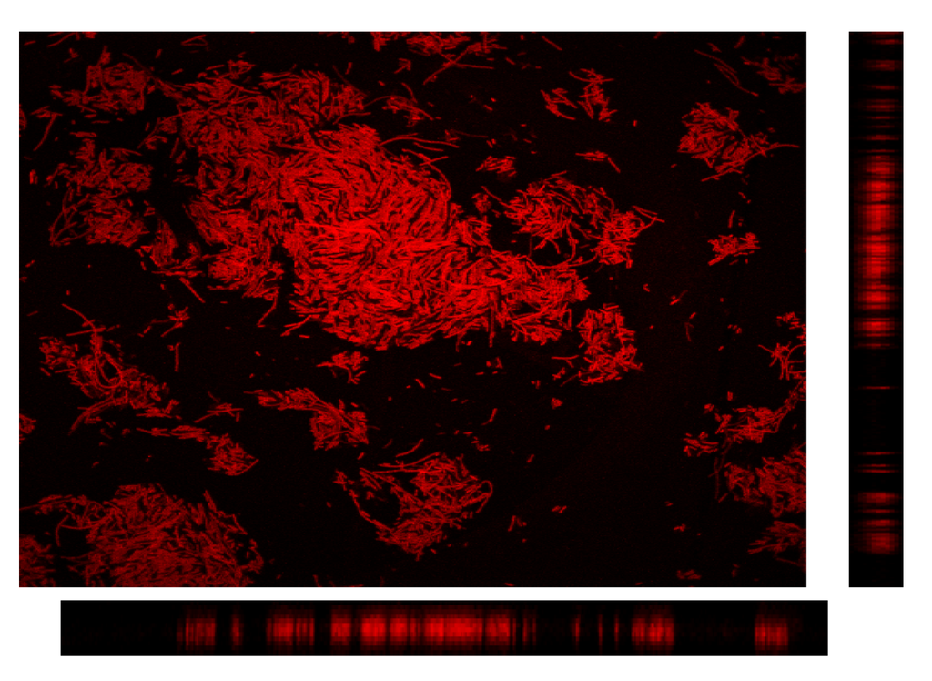 Membranes 03 00044 g011 1024