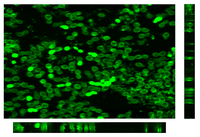 Membranes 03 00044 g012 200