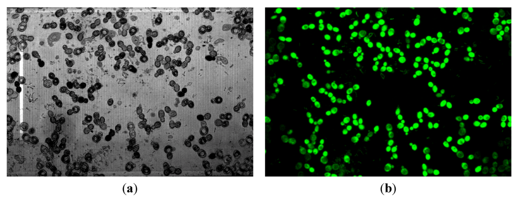 Membranes 03 00044 g013 1024