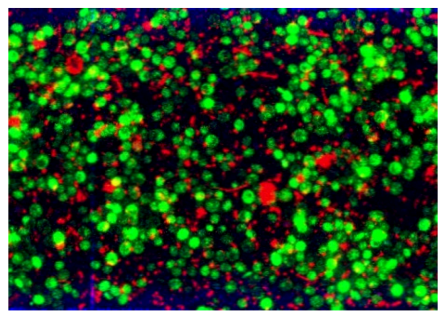Membranes 03 00044 g014 1024
