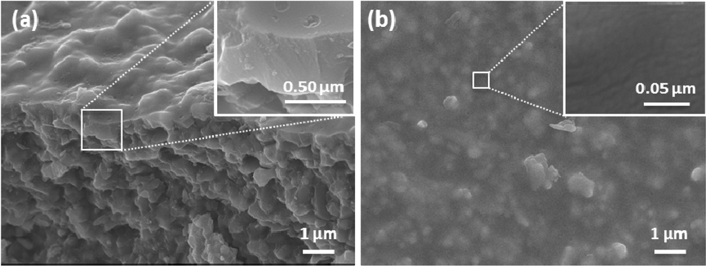 Membranes 03 00136 g004 1024