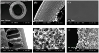 Membranes 03 00354 g001 200