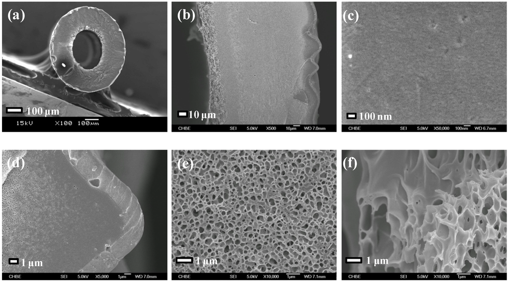Membranes 03 00354 g002 1024