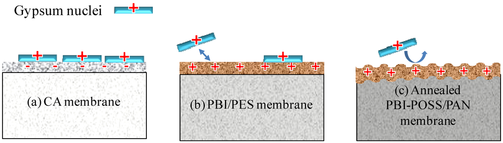 Membranes 03 00354 g013 1024