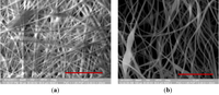 Membranes 03 00375 g001 200