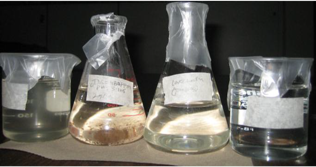 Membranes 03 00375 g004 1024