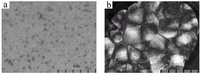 Membranes 03 00389 g007 200
