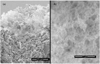 Membranes 03 00406 g001 200