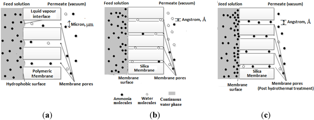 Membranes 04 00040 g002 1024