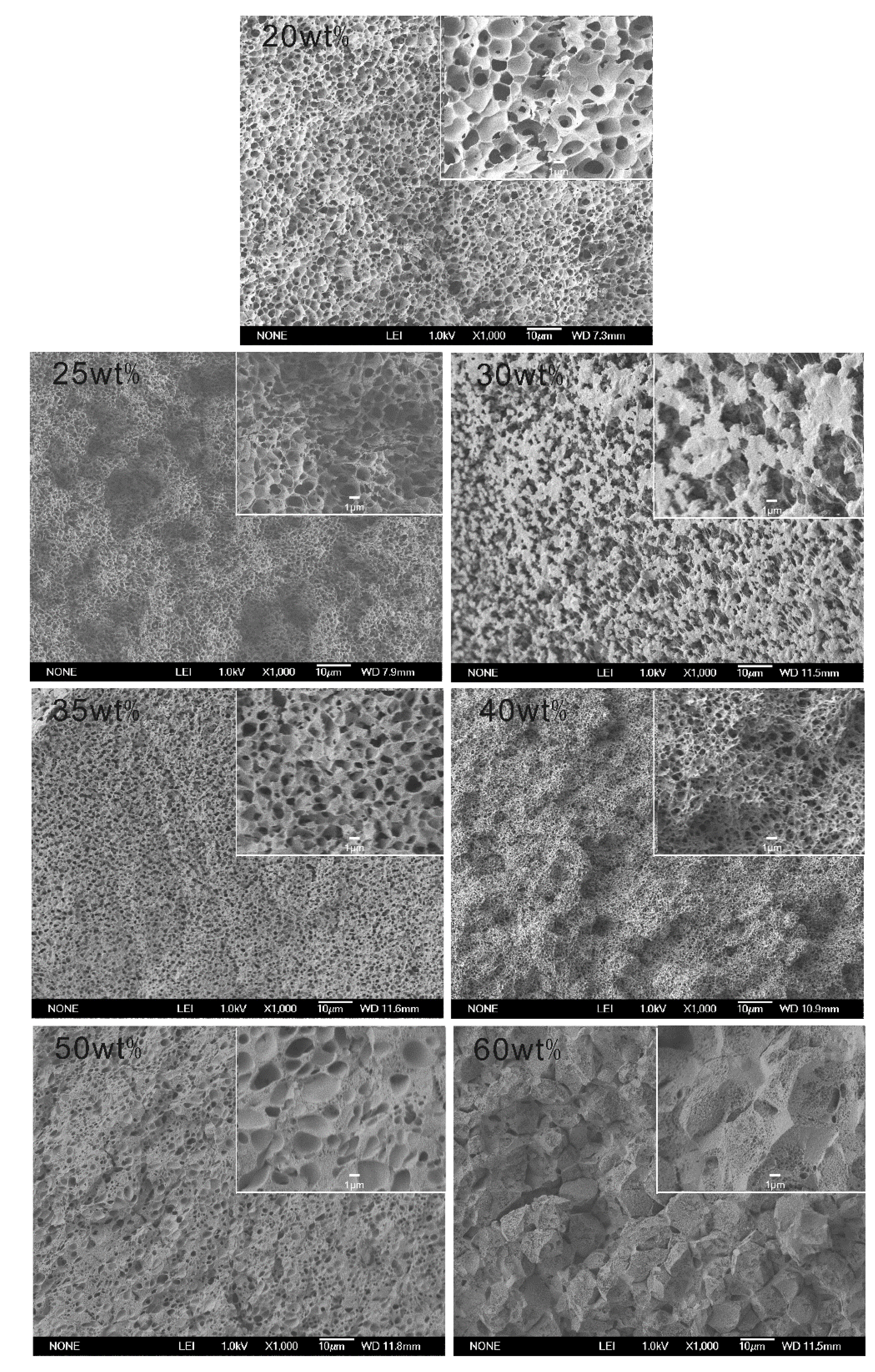metathesis effect of temperature on solubility and crystallization Solubility saturation crystals purification how does allowing the borax mixture to cool at a different temperature affect crystal formation this is why the crystals in the room-temperature jar should have been larger and more cube-like. metathesis effect of temperature on solubility and crystallization Solubility saturation crystals purification how does allowing the borax mixture to cool at a different temperature affect crystal formation this is why the crystals in the room-temperature jar should have been larger and more cube-like.