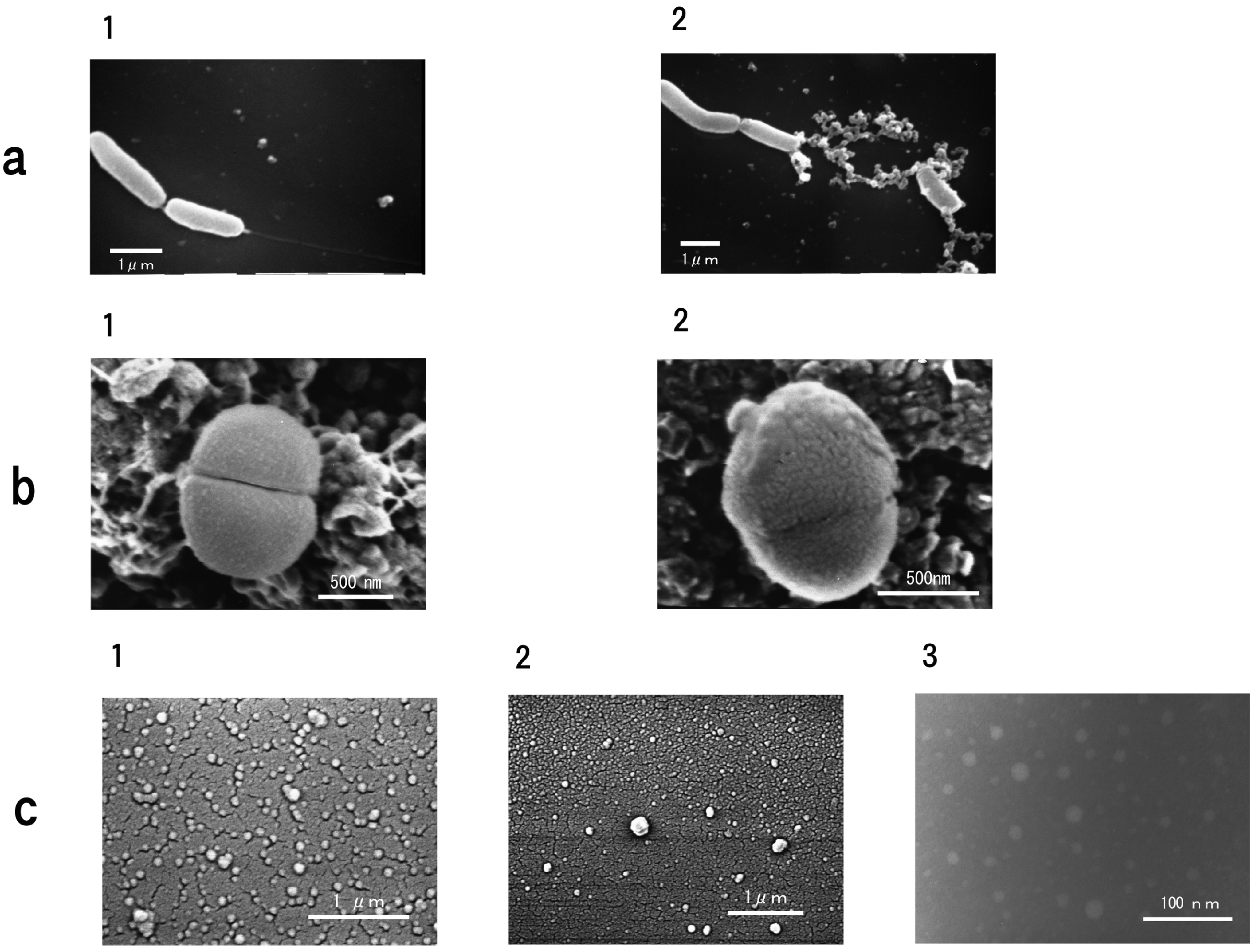Membranes 04 00491 g008