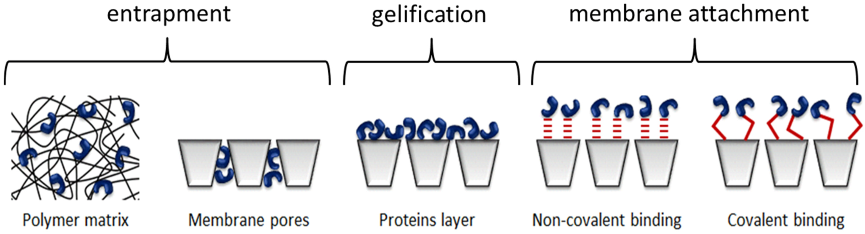 Membranes 04 00692 g012
