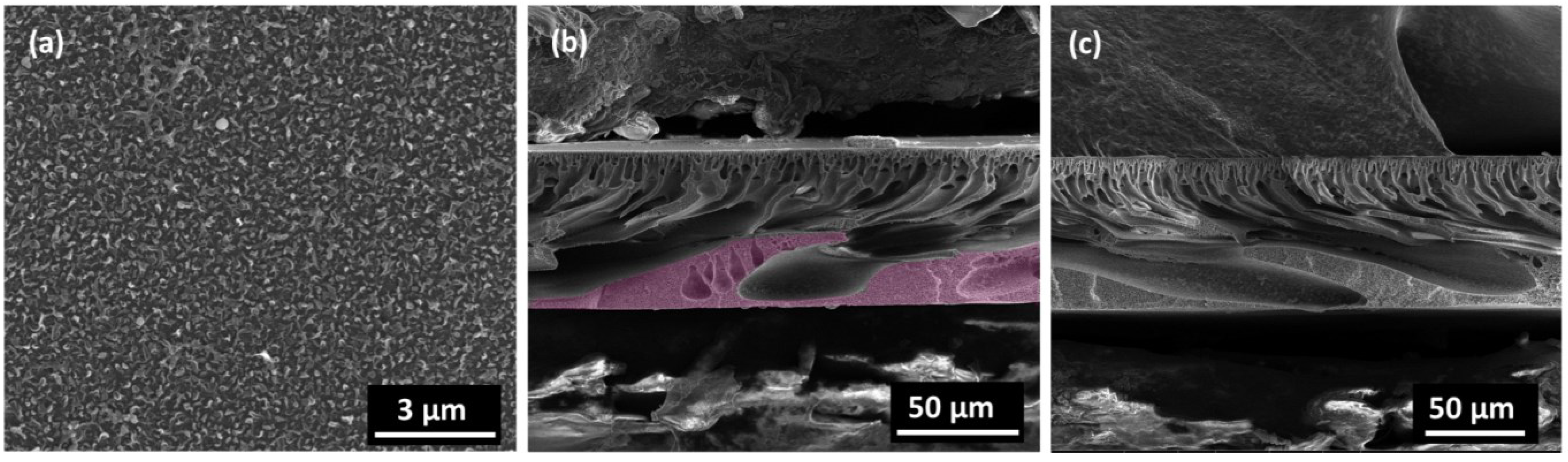 Membranes 05 00136 g005