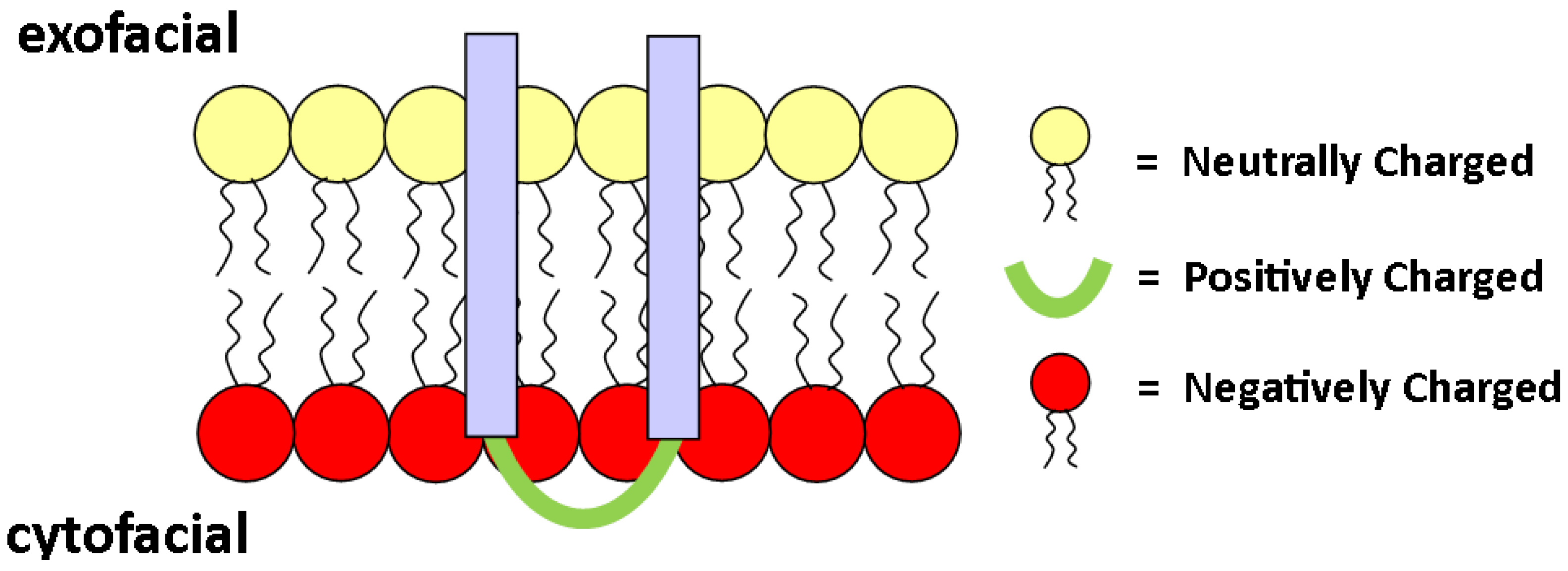 wgu biochemistry grt1 task 1 lipids wgu biochemistry grt1 task 1 lipids