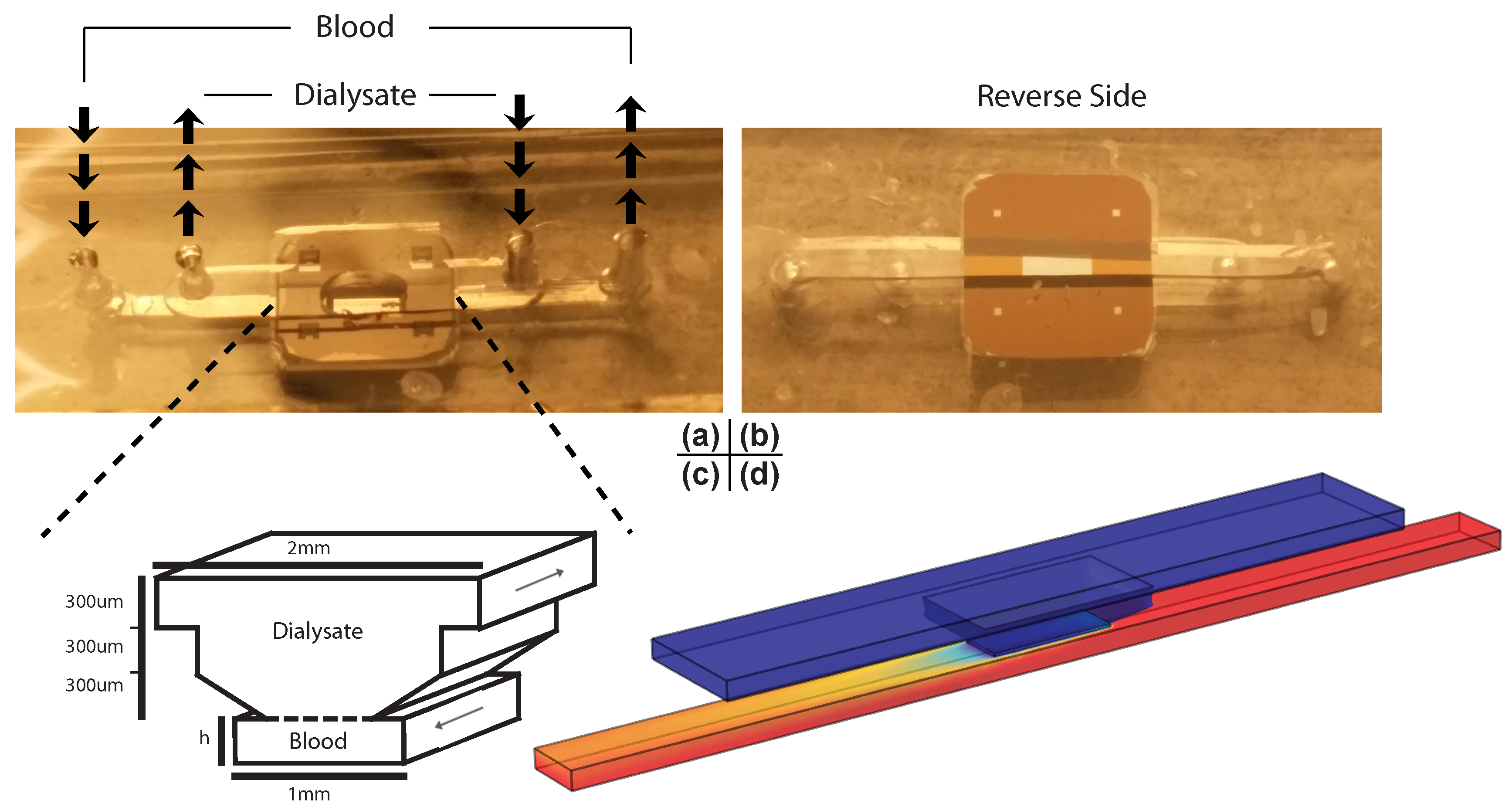 Membranes 06 00006 g002