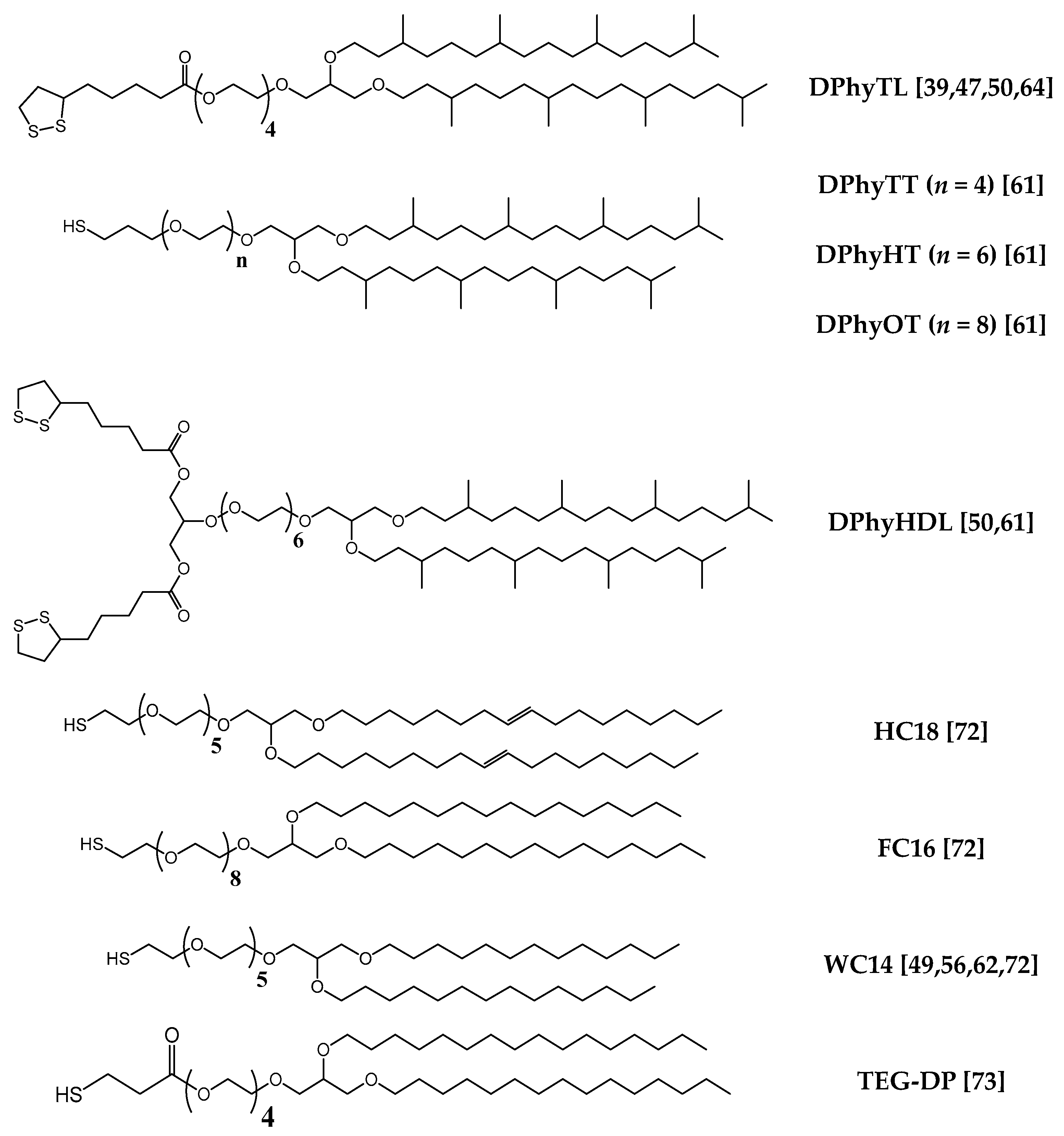 membrane structure and function