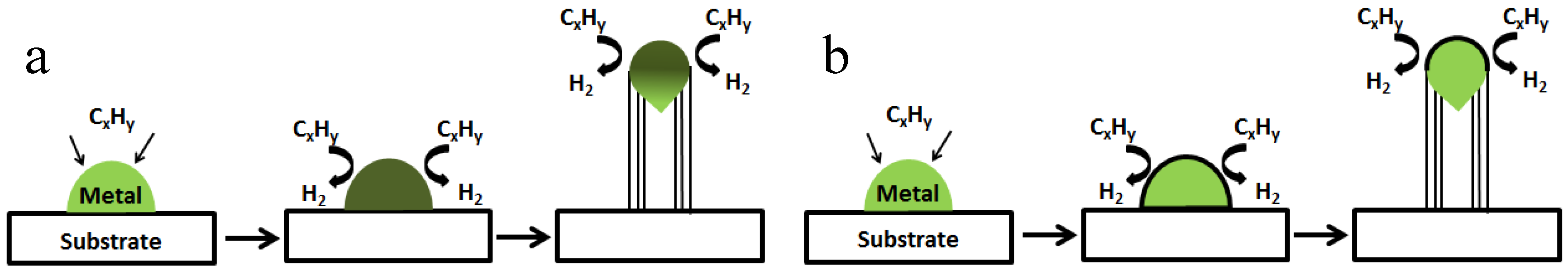 Membranes 07 00016 g003