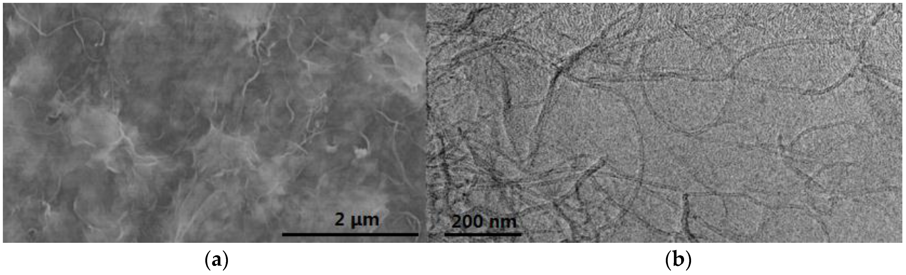 Membranes 07 00016 g009