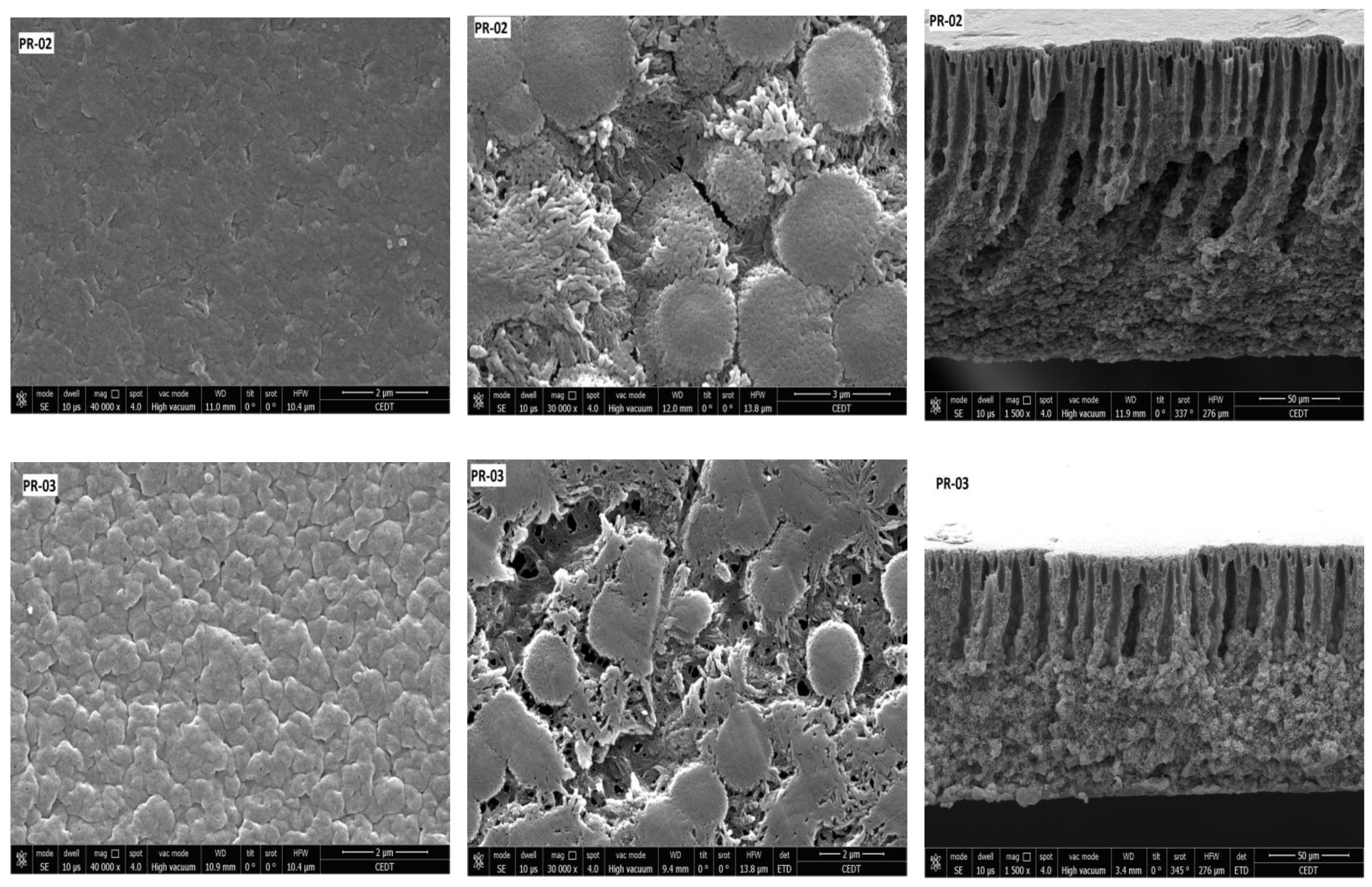 Membranes 08 00013 g008b