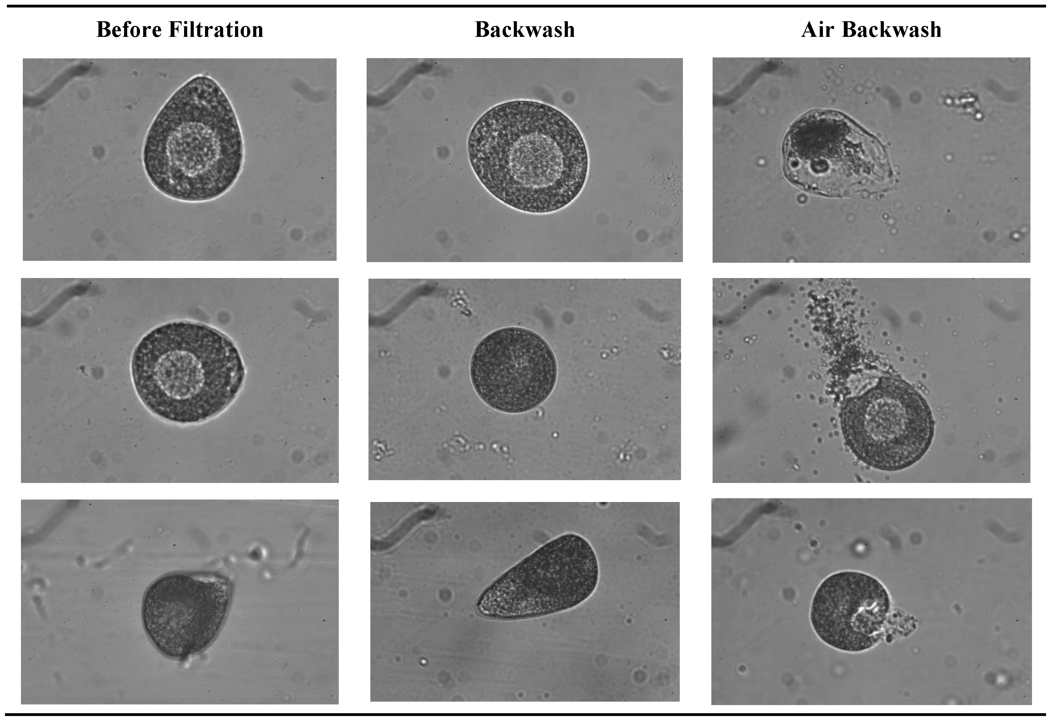 Membranes 08 00048 g009
