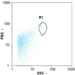 Membranes 08 00048 i021